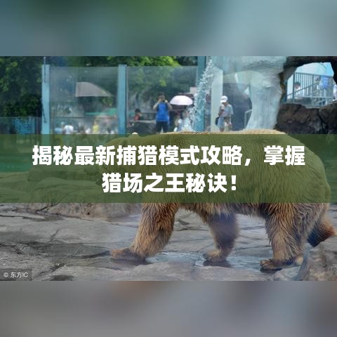揭秘最新捕獵模式攻略，掌握獵場之王秘訣！