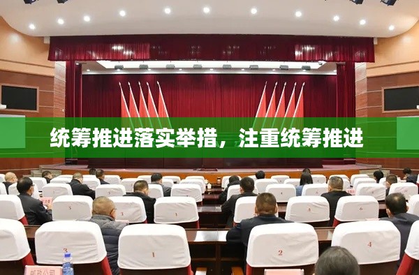 統(tǒng)籌推進落實舉措，注重統(tǒng)籌推進 