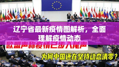 遼寧省最新疫情圖解析，全面理解疫情動態(tài)