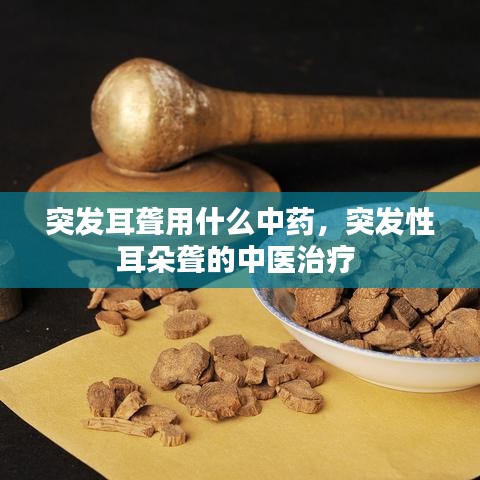 突發(fā)耳聾用什么中藥，突發(fā)性耳朵聾的中醫(yī)治療 