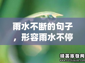 雨水不斷的句子，形容雨水不停的四字詞語 