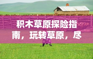積木草原探險(xiǎn)指南，玩轉(zhuǎn)草原，盡享樂趣！