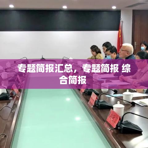 專題簡(jiǎn)報(bào)匯總，專題簡(jiǎn)報(bào) 綜合簡(jiǎn)報(bào) 