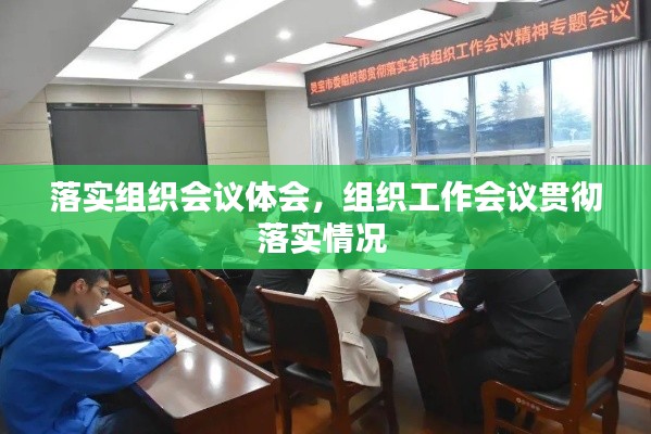 落實組織會議體會，組織工作會議貫徹落實情況 