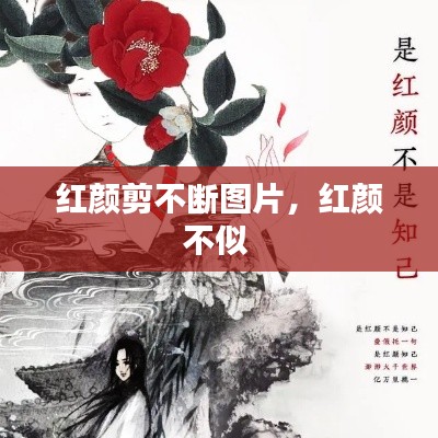 紅顏剪不斷圖片，紅顏不似 