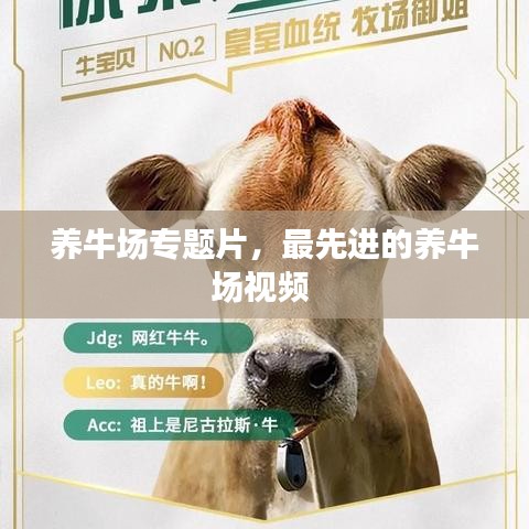 誠聘英才 第5頁