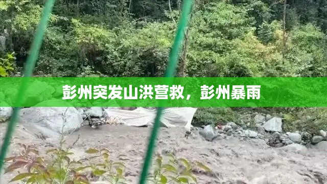 彭州突發(fā)山洪營(yíng)救，彭州暴雨 