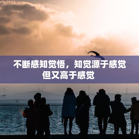 不斷感知覺悟，知覺源于感覺但又高于感覺 