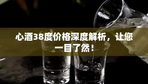 心酒38度價格深度解析，讓您一目了然！