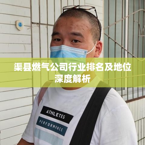 渠縣燃?xì)夤拘袠I(yè)排名及地位深度解析