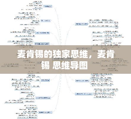 麥肯錫的獨(dú)家思維，麥肯錫 思維導(dǎo)圖 