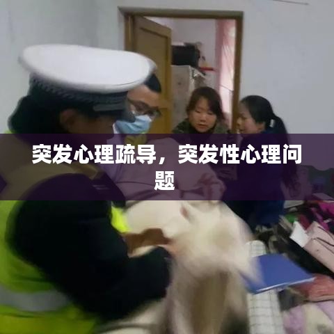 突發(fā)心理疏導，突發(fā)性心理問題 