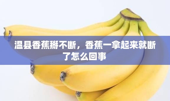 政策法規(guī) 第4頁