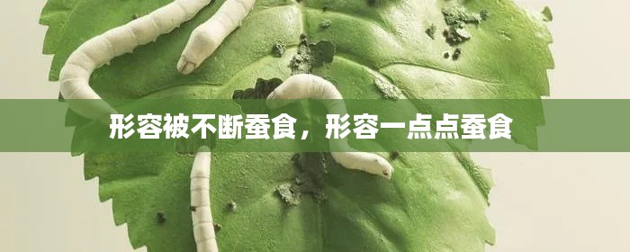 形容被不斷蠶食，形容一點(diǎn)點(diǎn)蠶食 