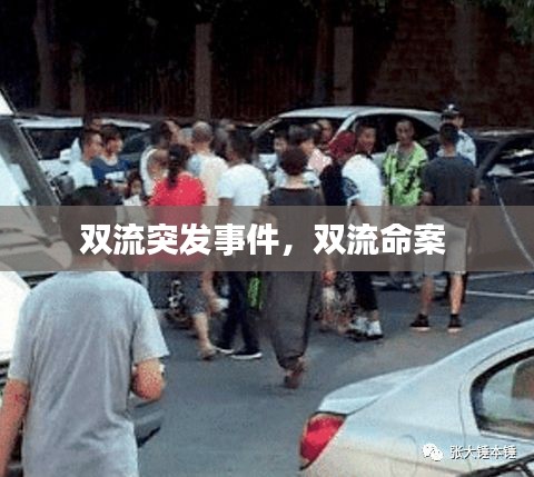 雙流突發(fā)事件，雙流命案 