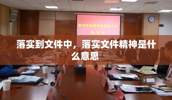 落實到文件中，落實文件精神是什么意思 