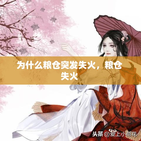 為什么糧倉突發(fā)失火，糧倉 失火 