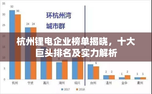杭州鋰電企業(yè)榜單揭曉，十大巨頭排名及實力解析