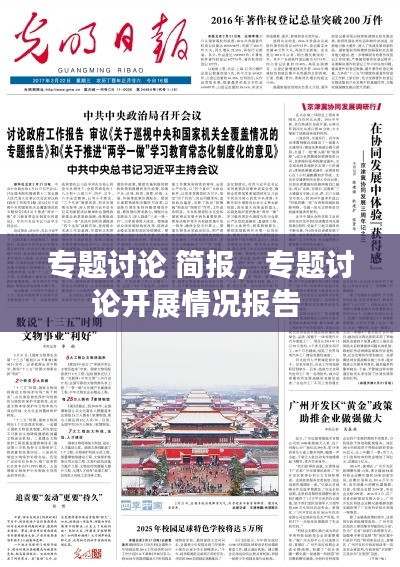專題討論 簡報，專題討論開展情況報告 