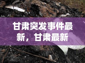 甘肅突發(fā)事件最新，甘肅最新事件8死 