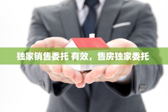 獨(dú)家銷售委托 有效，售房獨(dú)家委托 
