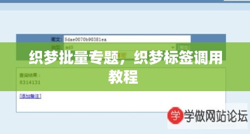 織夢批量專題，織夢標(biāo)簽調(diào)用教程 