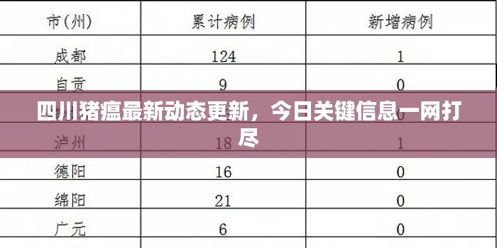 四川豬瘟最新動態(tài)更新，今日關(guān)鍵信息一網(wǎng)打盡