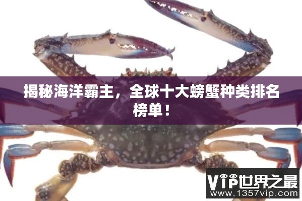 揭秘海洋霸主，全球十大螃蟹種類排名榜單！