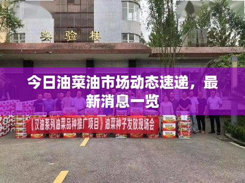 今日油菜油市場(chǎng)動(dòng)態(tài)速遞，最新消息一覽