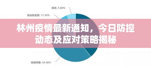 林州疫情最新通知，今日防控動(dòng)態(tài)及應(yīng)對(duì)策略揭秘