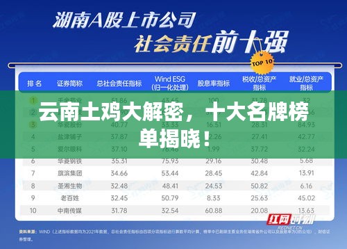 云南土雞大解密，十大名牌榜單揭曉！