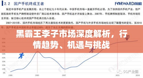 黑霸王李子市場(chǎng)深度解析，行情趨勢(shì)、機(jī)遇與挑戰(zhàn)