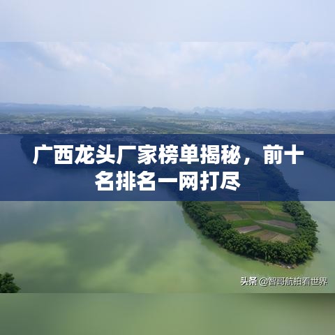 廣西龍頭廠家榜單揭秘，前十名排名一網打盡