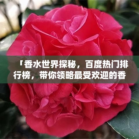 「香水世界探秘，百度熱門排行榜，帶你領(lǐng)略最受歡迎的香水香氣」