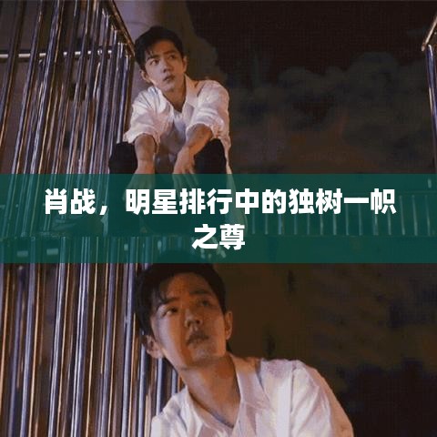 肖戰(zhàn)，明星排行中的獨(dú)樹(shù)一幟之尊