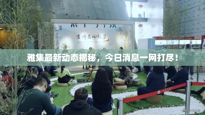 雅集最新動態(tài)揭秘，今日消息一網(wǎng)打盡！