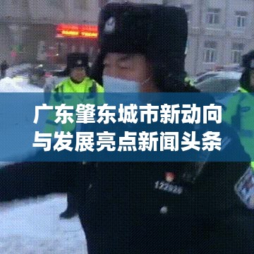 廣東肇東城市新動(dòng)向與發(fā)展亮點(diǎn)新聞?lì)^條速遞