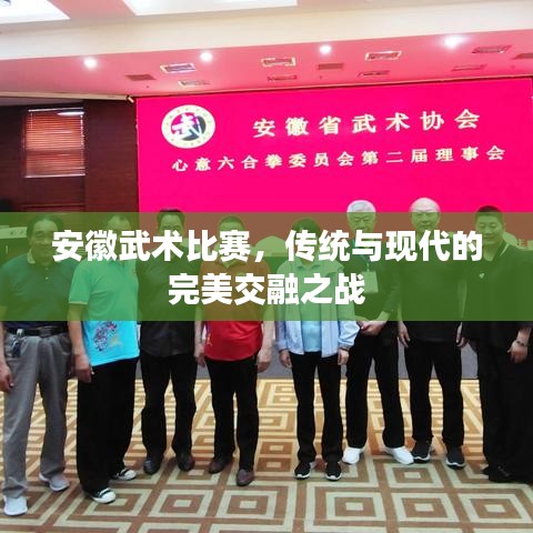 安徽武術(shù)比賽，傳統(tǒng)與現(xiàn)代的完美交融之戰(zhàn)