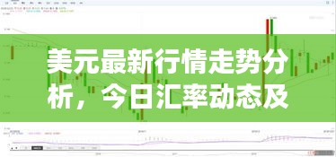 美元最新行情走勢分析，今日匯率動態(tài)及市場解讀