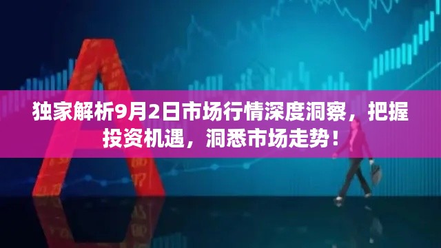 獨(dú)家解析9月2日市場行情深度洞察，把握投資機(jī)遇，洞悉市場走勢！