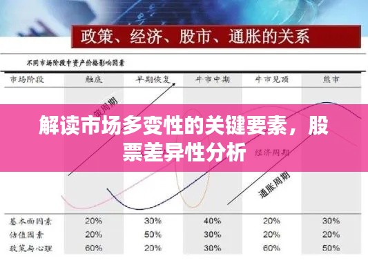 解讀市場多變性的關(guān)鍵要素，股票差異性分析