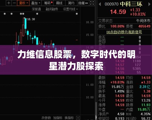 力維信息股票，數(shù)字時代的明星潛力股探索