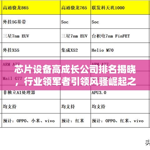 芯片設(shè)備高成長公司排名揭曉，行業(yè)領(lǐng)軍者引領(lǐng)風(fēng)騷崛起之路揭秘
