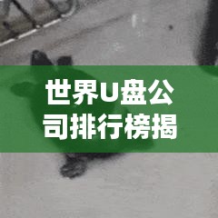 世界U盤公司排行榜揭曉，行業(yè)巨頭一覽無余！