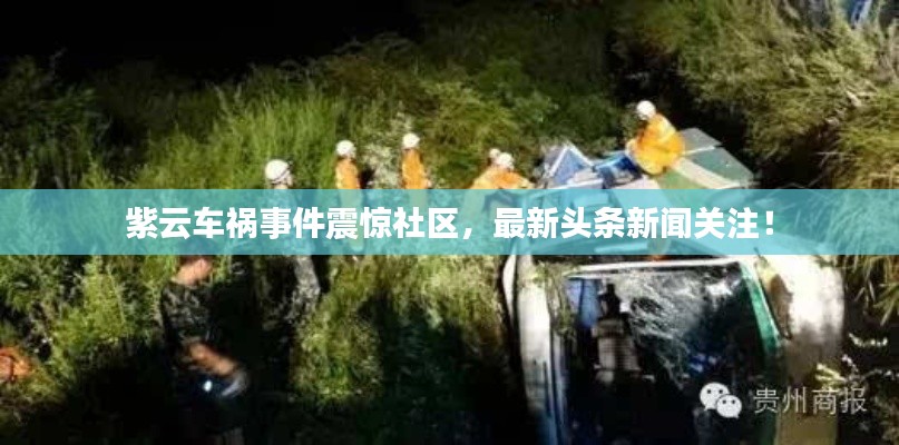 紫云車禍?zhǔn)录痼@社區(qū)，最新頭條新聞關(guān)注！