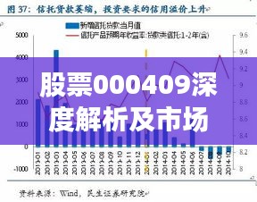 股票000409深度解析及市場前景展望報告揭秘！