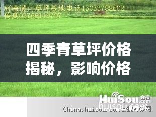 四季青草坪價格揭秘，影響價格的因素全解析