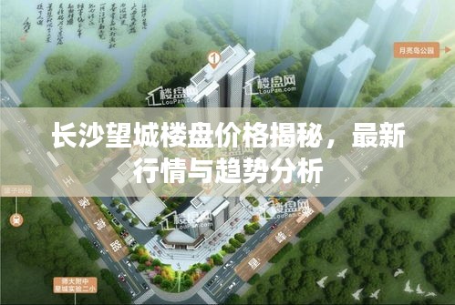 長沙望城樓盤價(jià)格揭秘，最新行情與趨勢(shì)分析