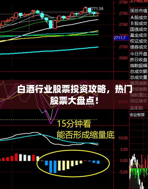 白酒行業(yè)股票投資攻略，熱門股票大盤點(diǎn)！