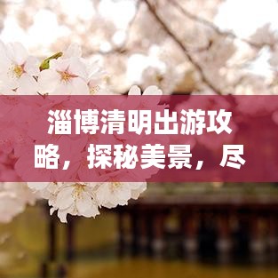 淄博清明出游攻略，探秘美景，盡享文化盛宴！